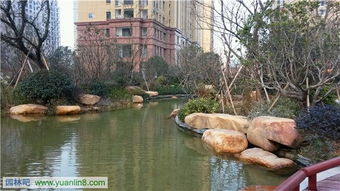 精品園林獎金獎項目 和協(xié)·風格尚品室外景觀及綠化工程的藝術與匠心